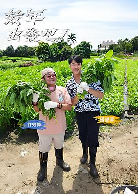 别再被只展示正面误导中文字幕私